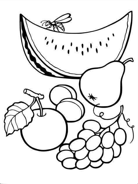 Coloriage Fruits Allowed